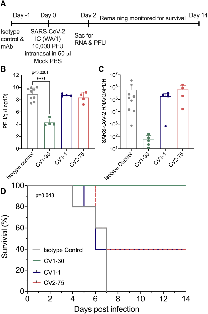 Figure 6