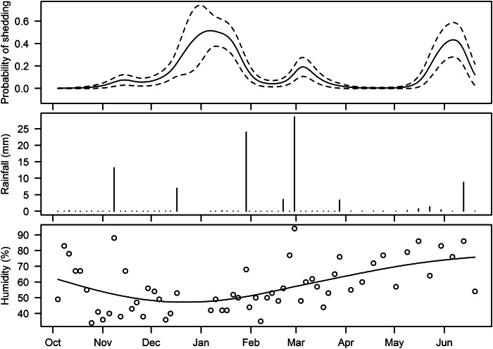 Fig. 3.