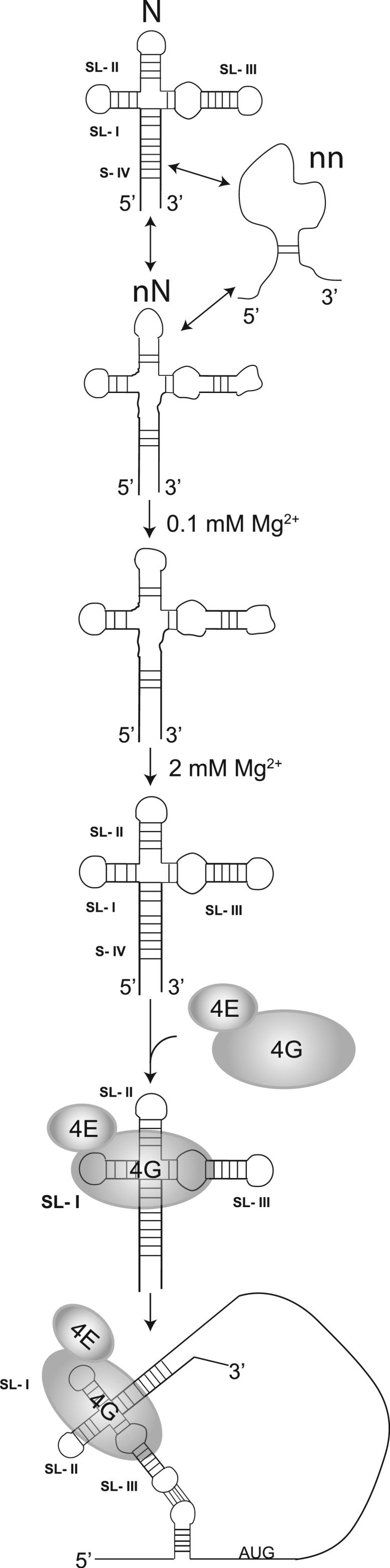 Figure 8.