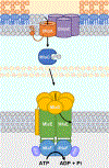 Figure 6: