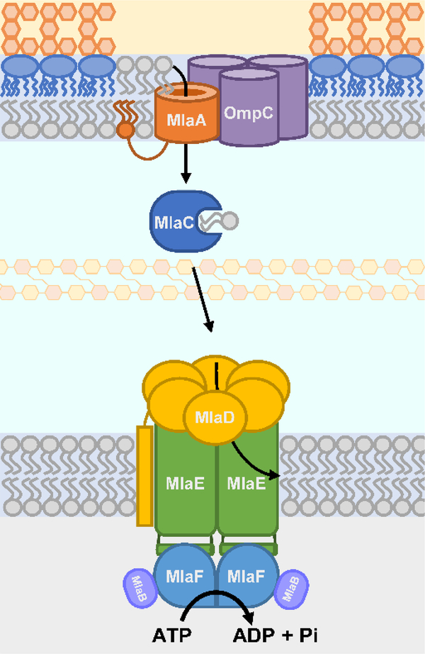 Figure 6: