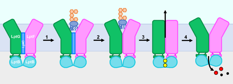 Figure 5: