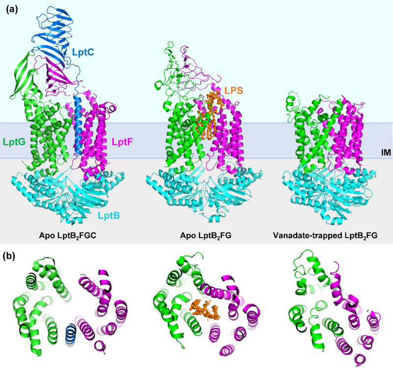 Figure 4: