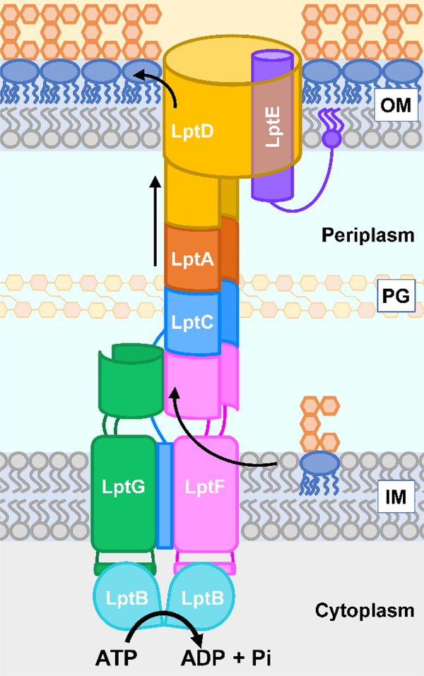 Figure 2: