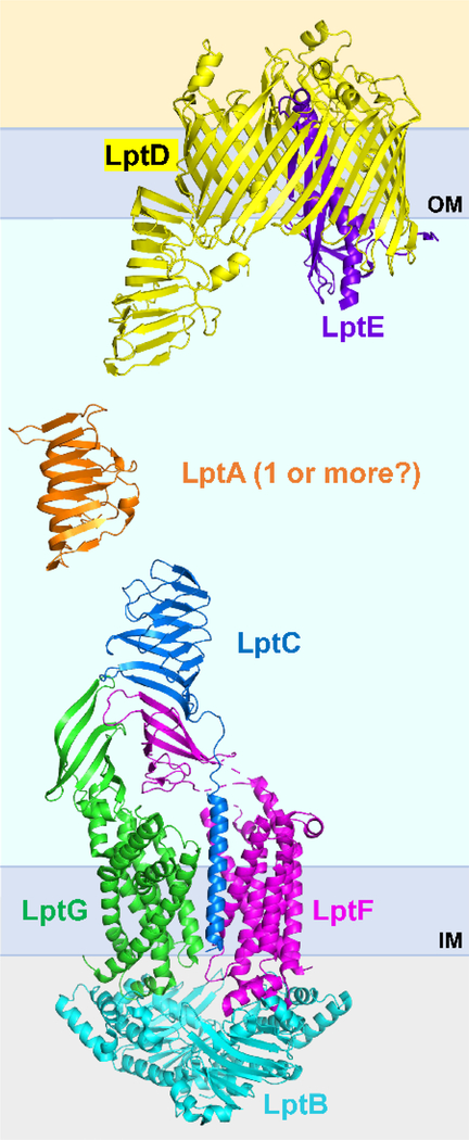 Figure 3: