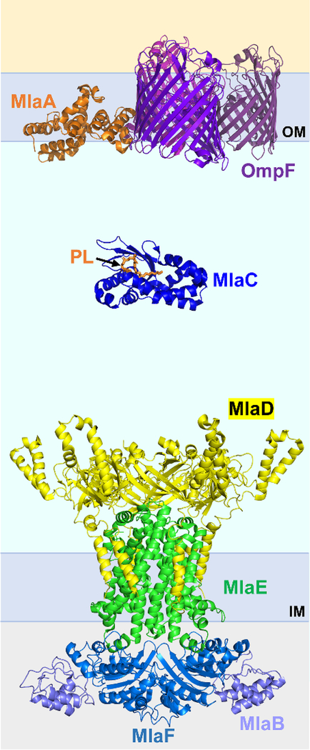 Figure 7: