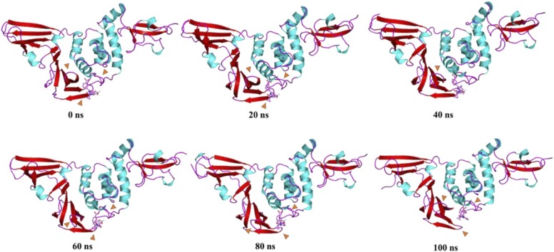 Fig. 16