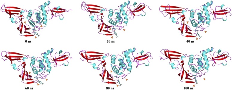 Fig. 15