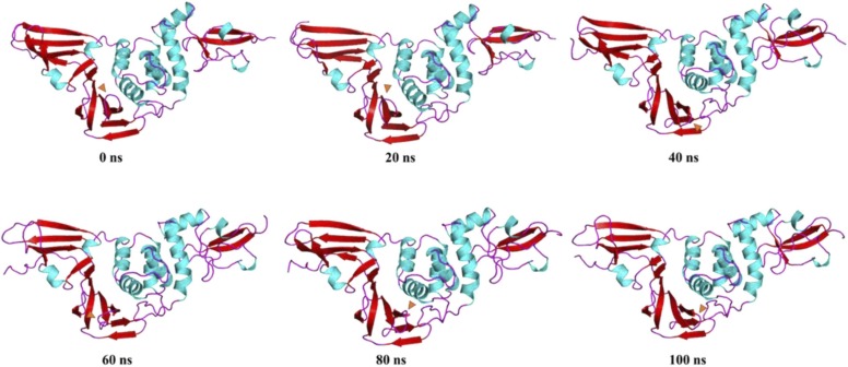 Fig. 14