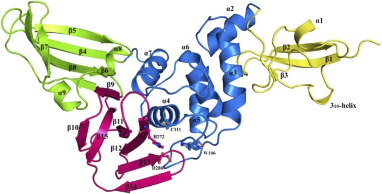 Fig. 1