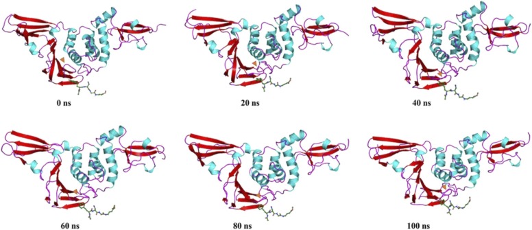 Fig. 17