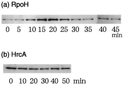 FIG. 8