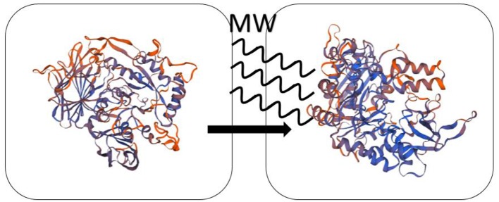 Scheme 4