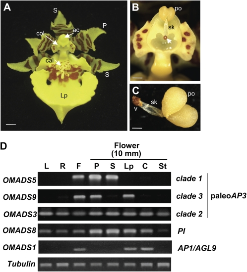 Figure 3.