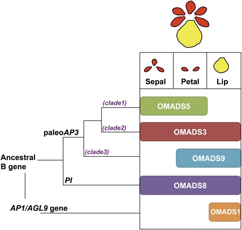 Figure 5.