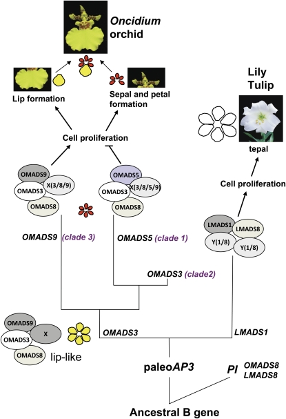 Figure 10.