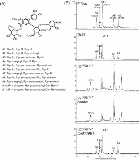 Figure 4