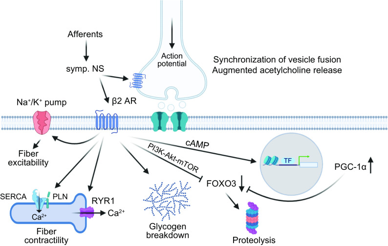 FIGURE 10.