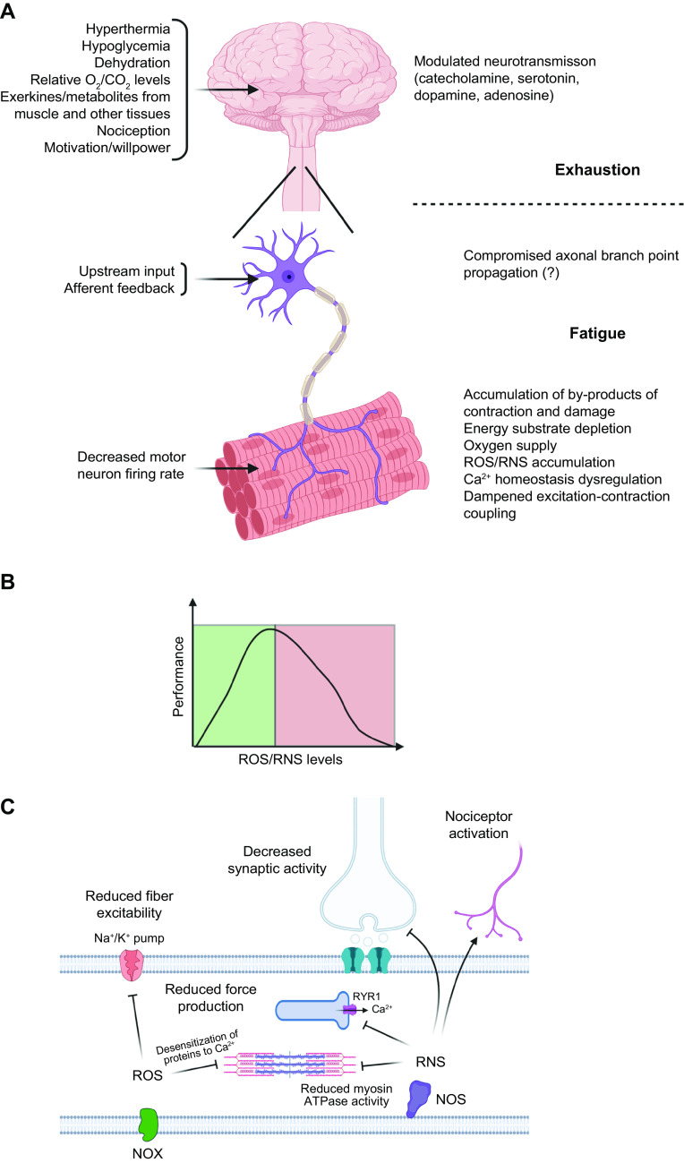 FIGURE 16.