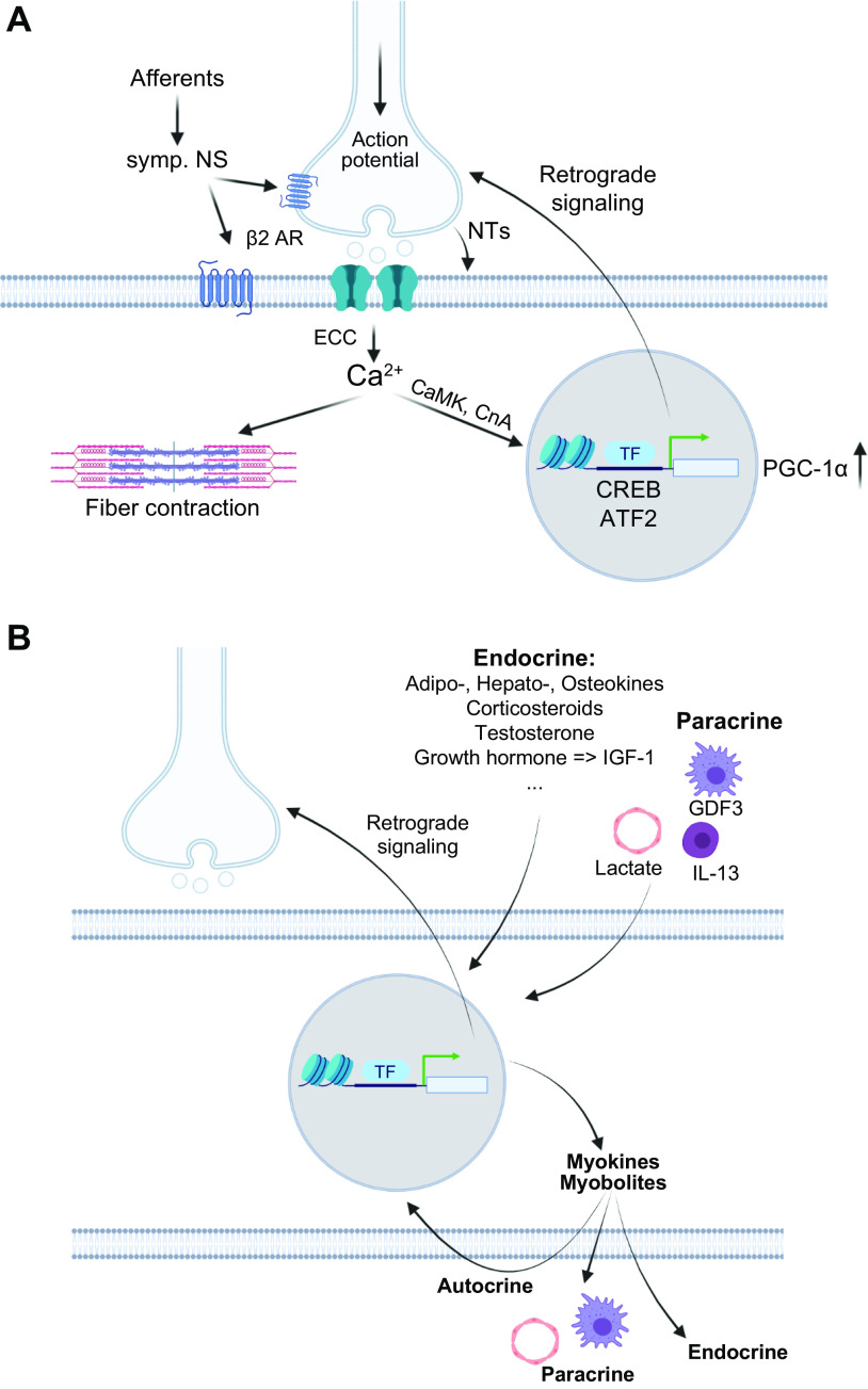 FIGURE 11.