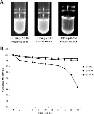 FIG. 6.