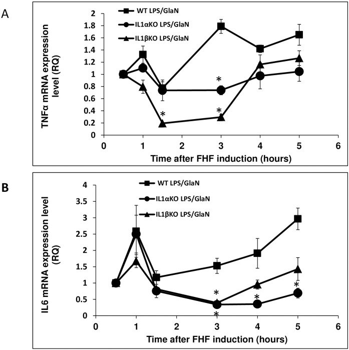 Fig 6