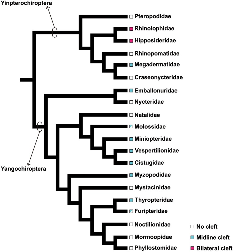 Fig. 3