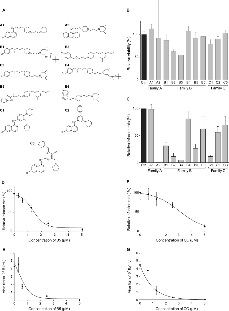 FIG 2