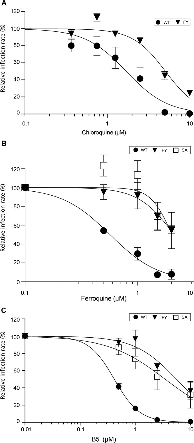 FIG 8