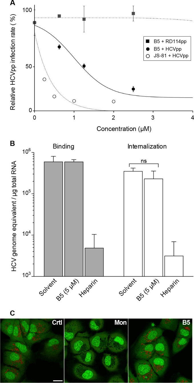 FIG 6