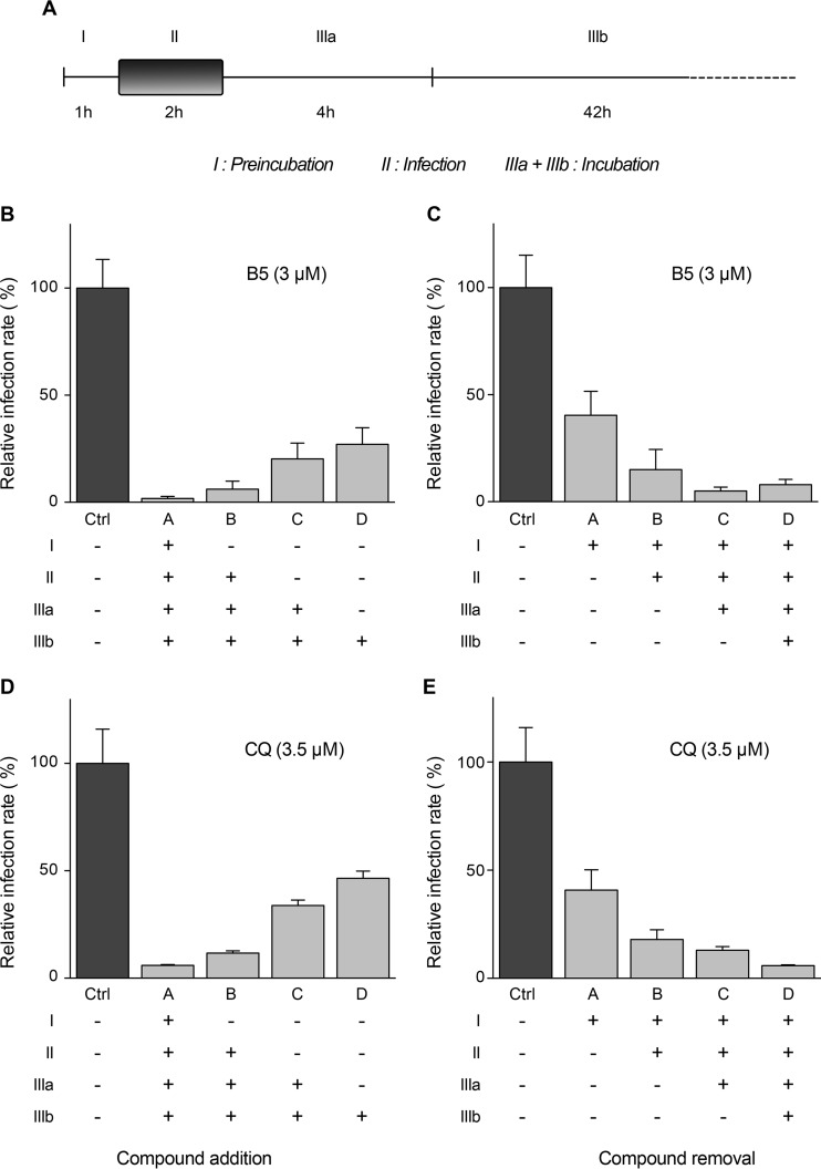 FIG 3