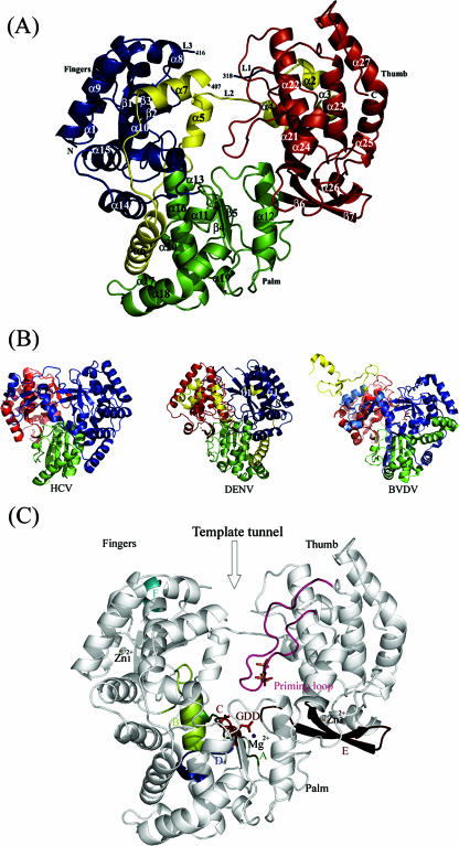 FIG. 2.