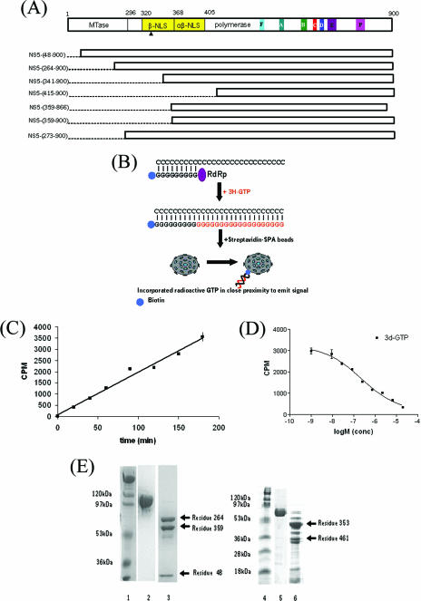 FIG. 1.