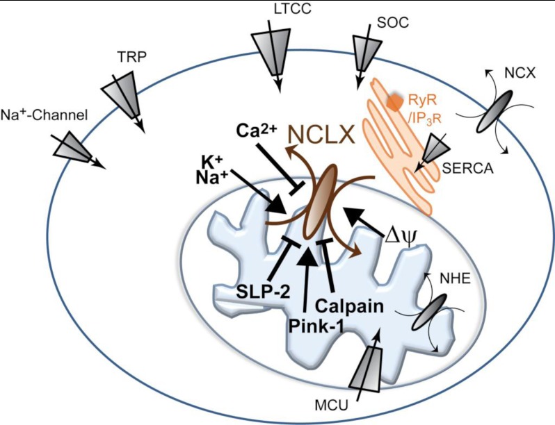 FIGURE 2.