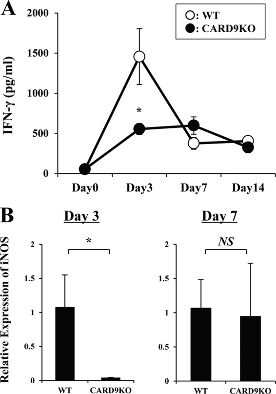 FIG 3