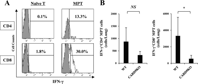 FIG 6