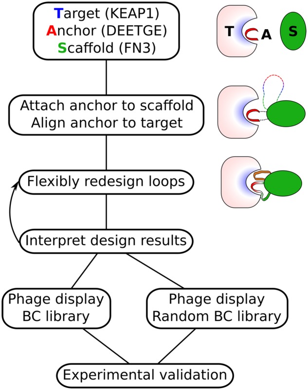 Fig. 2