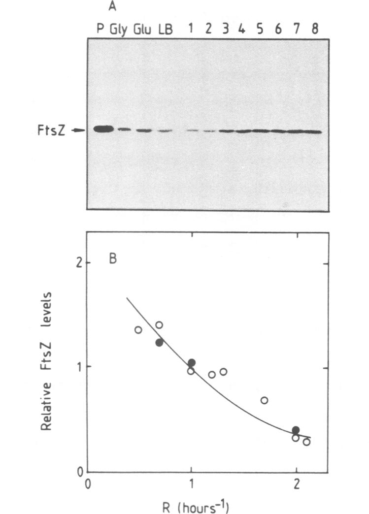 Fig.3