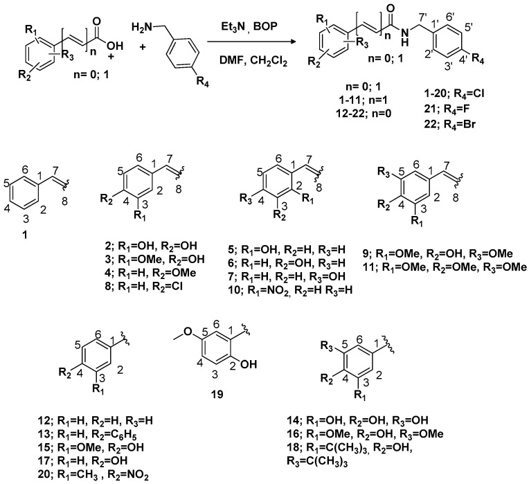 Scheme 1