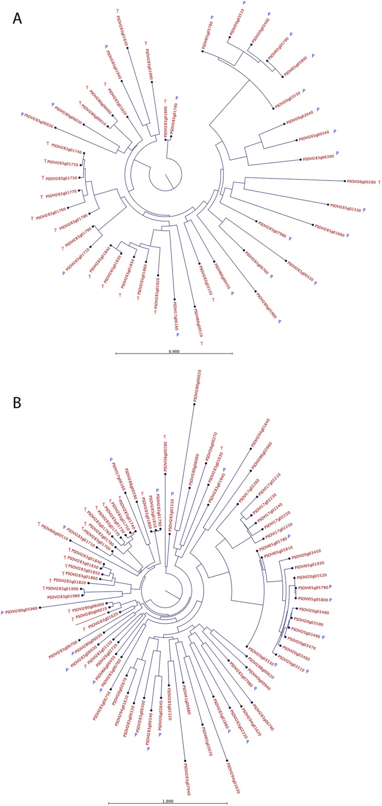 Fig. 11