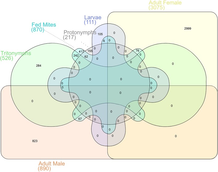 Fig. 9