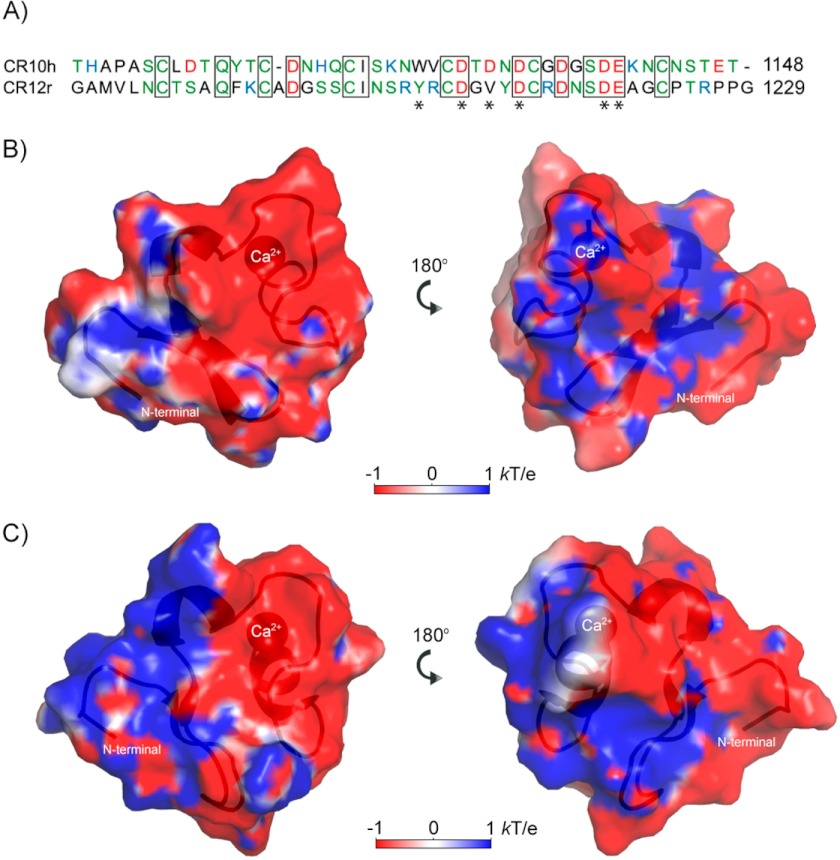 FIGURE 2.