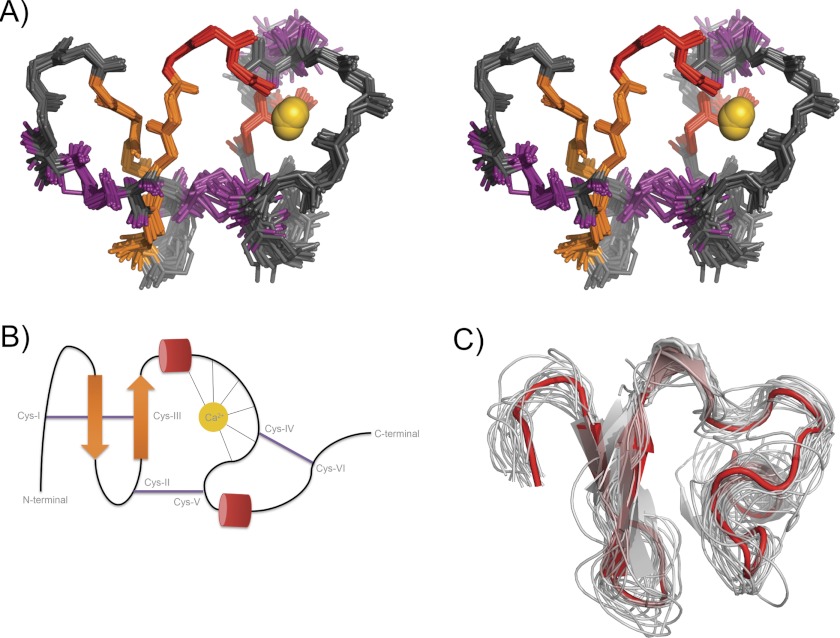 FIGURE 1.