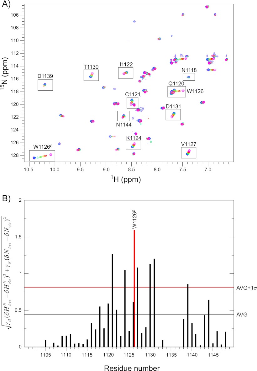 FIGURE 5.