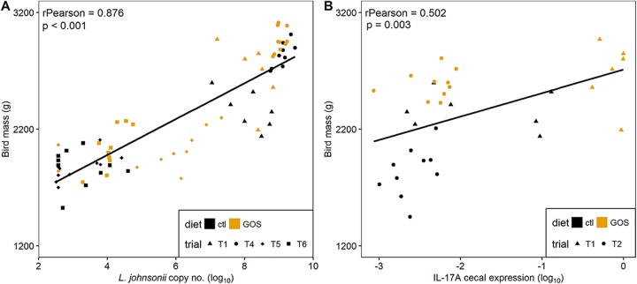 FIG 6