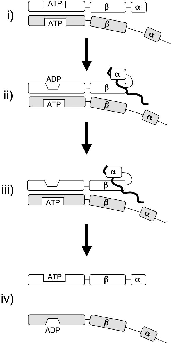 Fig 2.