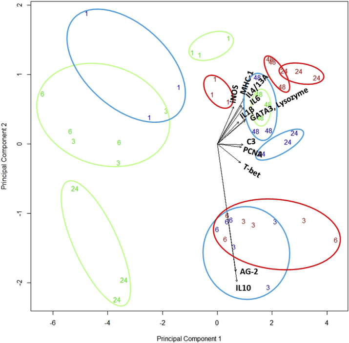 Fig. 7