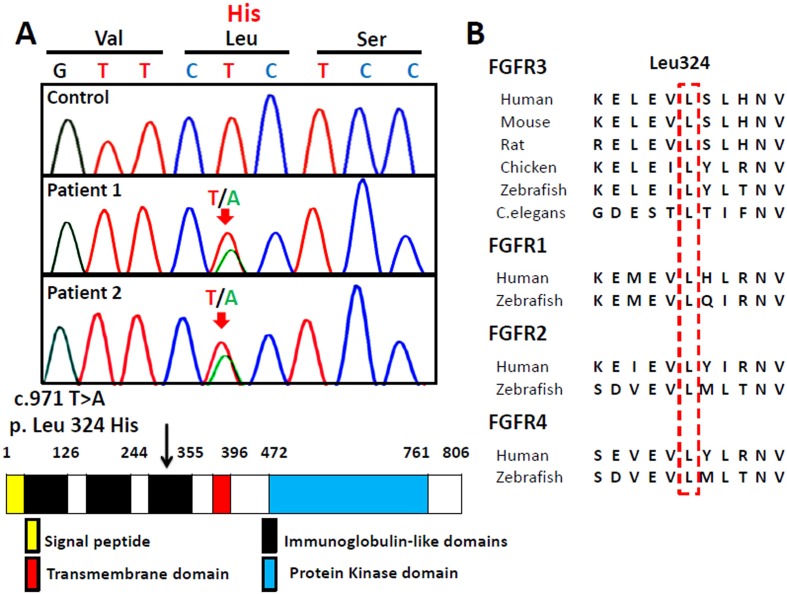 Fig.
2.