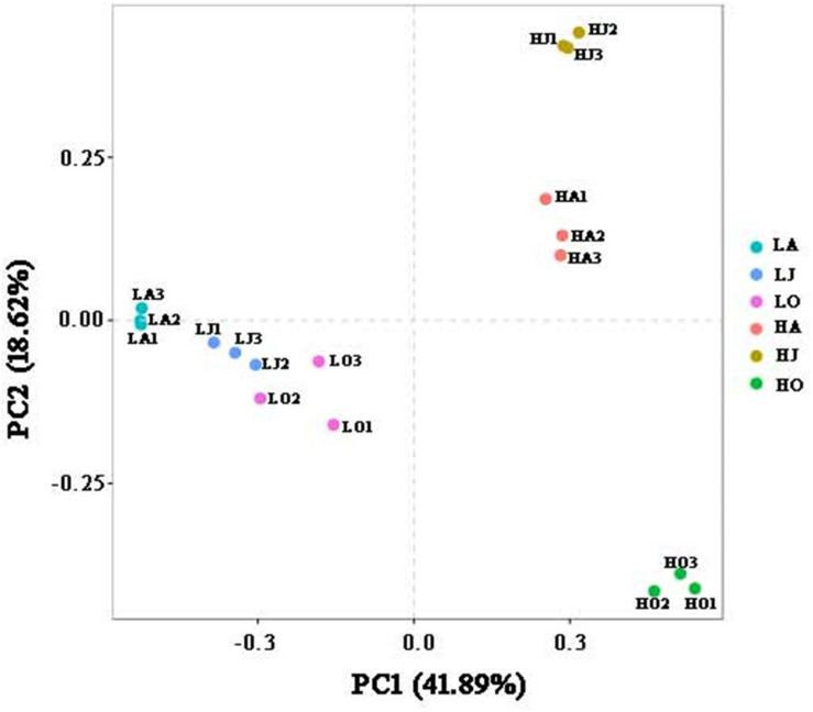 FIGURE 1