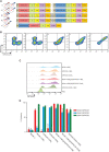 Figure 1. Dual-targeted CAR T cells express both scFv's efficiently and specifically lyse target antigen–positive cells. A, BCMA/GPRC5D dual-targeted CAR strategies evaluated. (i, ii) simultaneous 1:1 infusion of independent CAR T cells manufactured in parallel; (iii–iv) bicistronic dual-CAR expression on T cells via a construct with a “self-cleaving” 2A peptide; (v) tandem-scFv, “single stalk” CAR design. SP, signal peptide; S, spacer; TM transmembrane domain. B, Expression of individual BCMA-targeted and GPRC5D-targeted scFvs on the surface of primary donor T cells by flow cytometry with reagents specific to either the BCMA-targeted scFv or the GPRC5D-targeted scFv. C, Total CAR expression and transduction efficiency as measured by flow cytometry with antibody to the spacer domain shared among all CARs. FMO, fluorescence-minus-one. D, Cytotoxicity measured by ATP-dependent bioluminescence after 24-hour coculture of CAR T cells with a monolayer of 3T3-aAPC ffLuc+ cells expressing the indicated antigen(s); normalized to aAPCs alone. Mean ± SD from representative biological triplicate shown.
